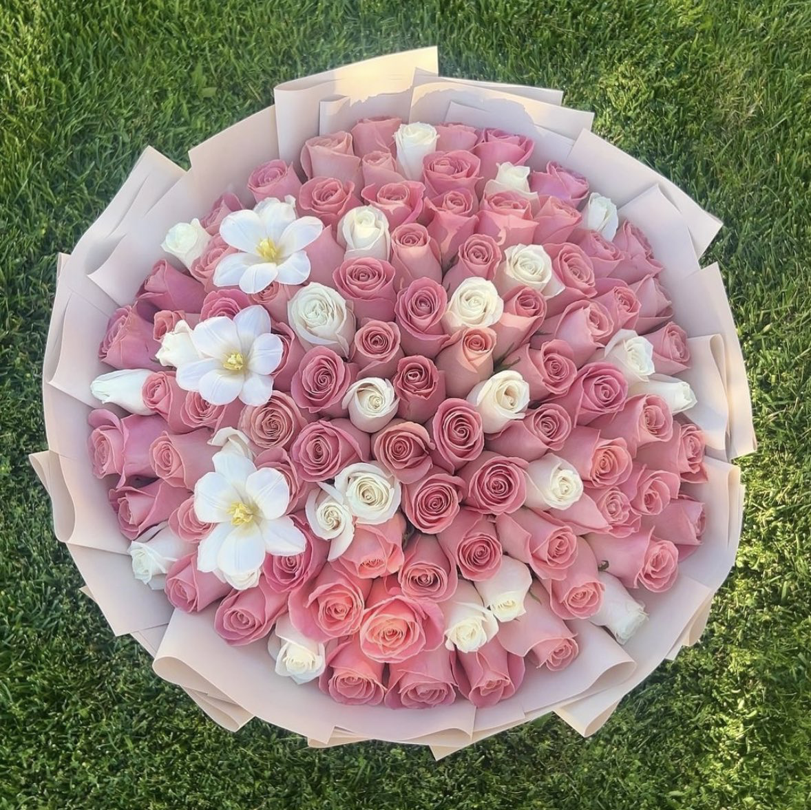 nz national girlfriend day