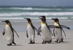 Why Business Owners Should Embrace Tech Transformation