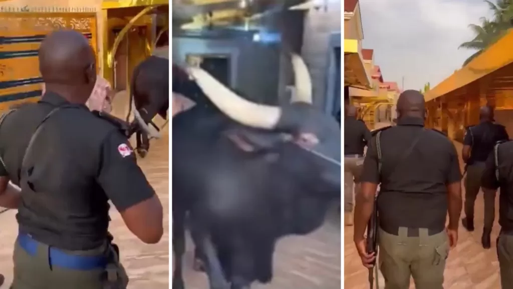 police escorting man with cow_png