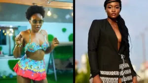 ilebaye wins big brother naija all star_png