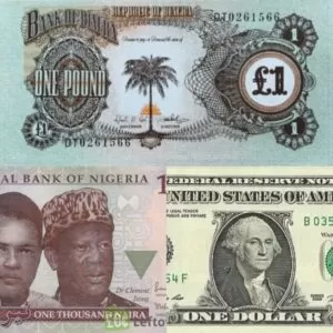 Detained BDC Port Harcourt Chairman Blames Banks, Government for Dollar Rise