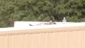 Gunman Crawled Up on Nearby Roof Before Shooting at Trump, Witnesses Say