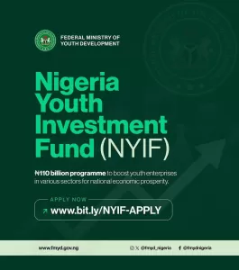 NIGERIA YOUTH INVESTMENT FUND*