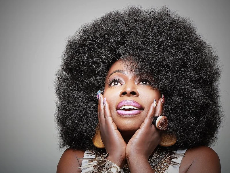 Grammy-Nominated R&B Singer Angie Stone Dies in Car Crash