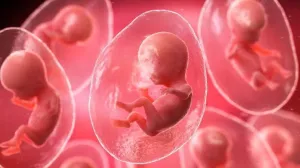 AI-Powered IVF Procedure A Breakthrough in Reproductive Medicine?