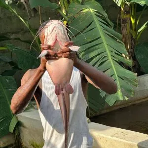 Complete steps on to feed your catfish